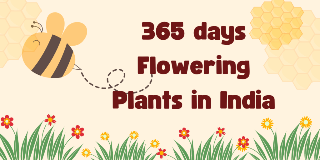 365 days flowering plants in india