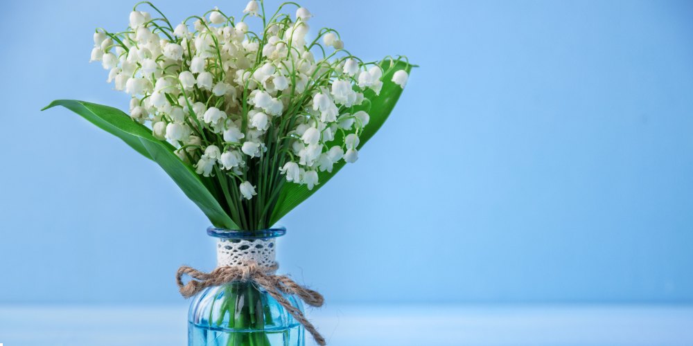 white flowers in India